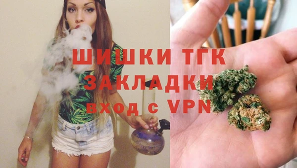 тгк Армянск