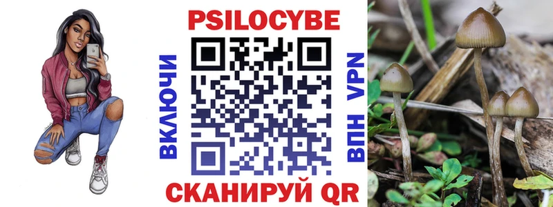 Купить  Билибино  Галлюциногенные грибы прущие грибы 